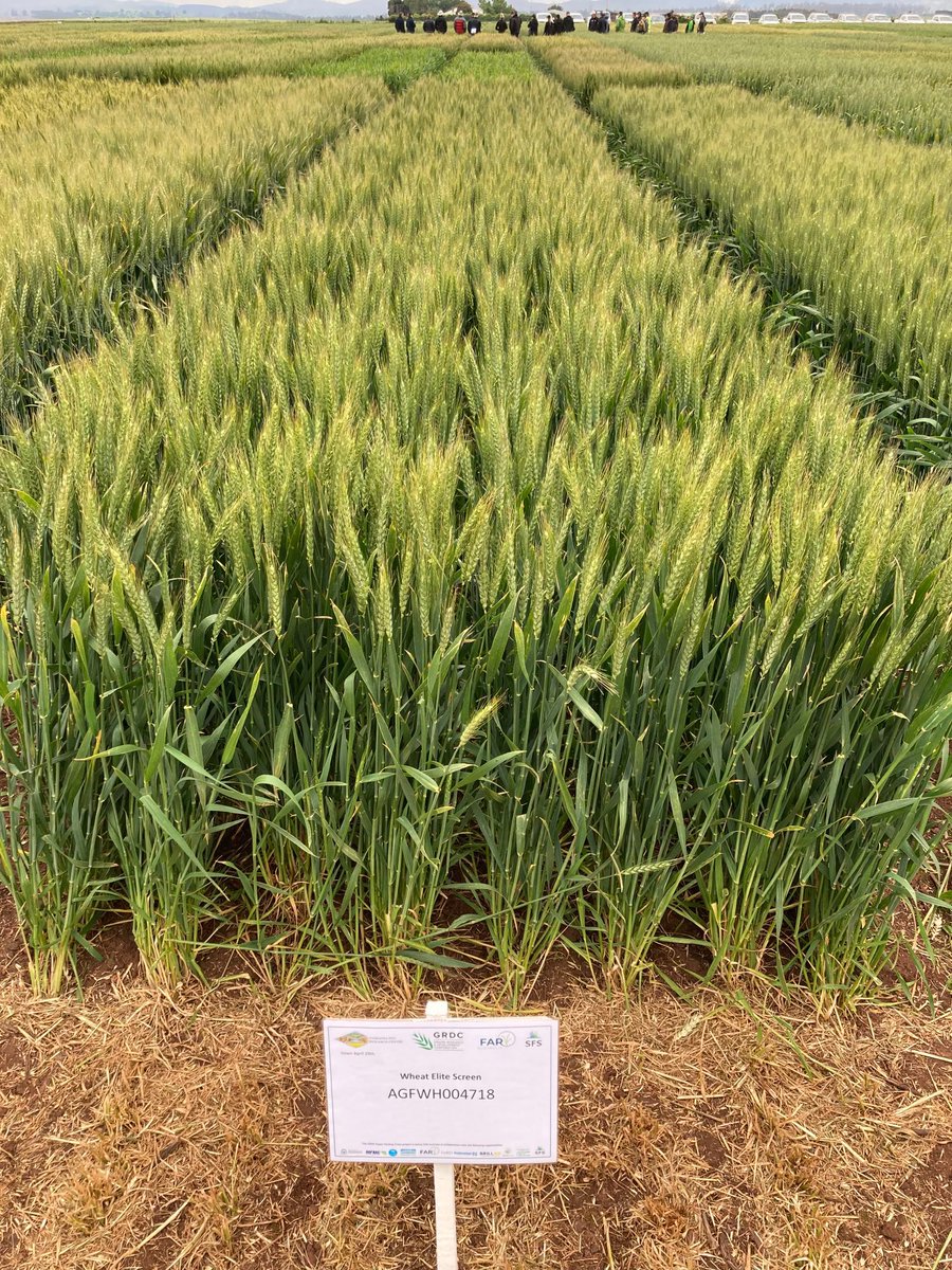 Kenton Porker tweet media