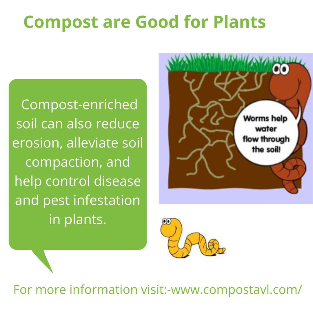 CompostAVL tweet media
