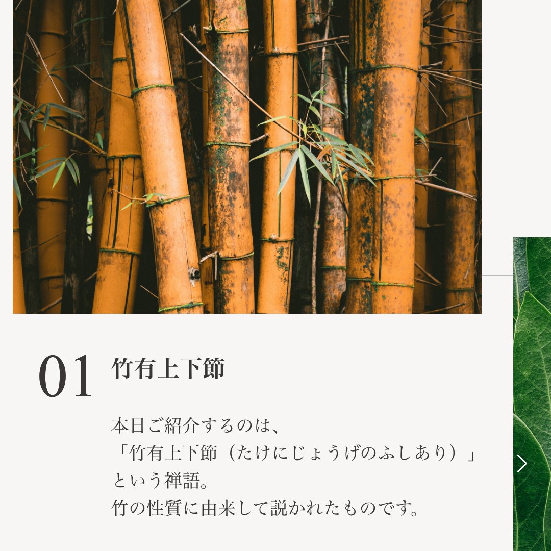 ZENH_JP's tweet photo. ✍️禅語：「竹有上下節」 

この禅語は、竹の性質に由来して説かれたもの✨ 
竹の基本構造である”上下の節”。もしそれが無ければ、竹はまっすぐ・長く伸びることはできません。 仕事でも同じ、中途半端にあれこれ手を出さずに、ひとつひとつの節目を完結させることが成功の原則です。

#禅のある暮らし https://t.co/HqUVL3fp0u