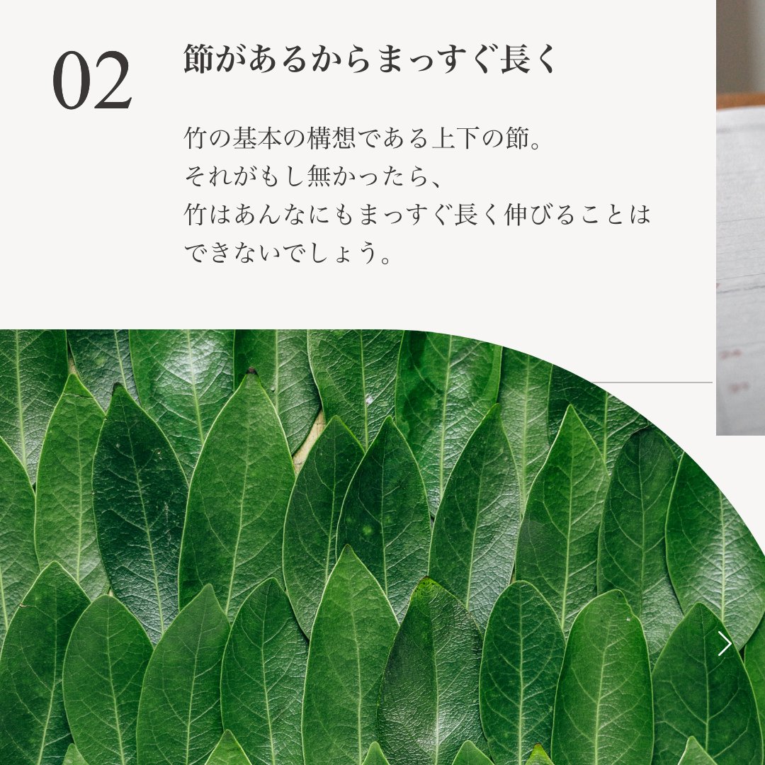 ZENH_JP's tweet photo. ✍️禅語：「竹有上下節」 

この禅語は、竹の性質に由来して説かれたもの✨ 
竹の基本構造である”上下の節”。もしそれが無ければ、竹はまっすぐ・長く伸びることはできません。 仕事でも同じ、中途半端にあれこれ手を出さずに、ひとつひとつの節目を完結させることが成功の原則です。

#禅のある暮らし https://t.co/HqUVL3fp0u