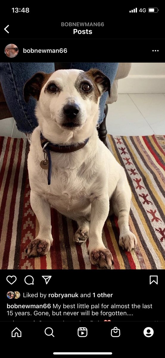 poloman2010's tweet photo. Said a final goodbye to this little fella a couple of days ago. My friend and companion for nearly 15 years … I’m heartbroken 💔 https://t.co/AvImzGMr2X