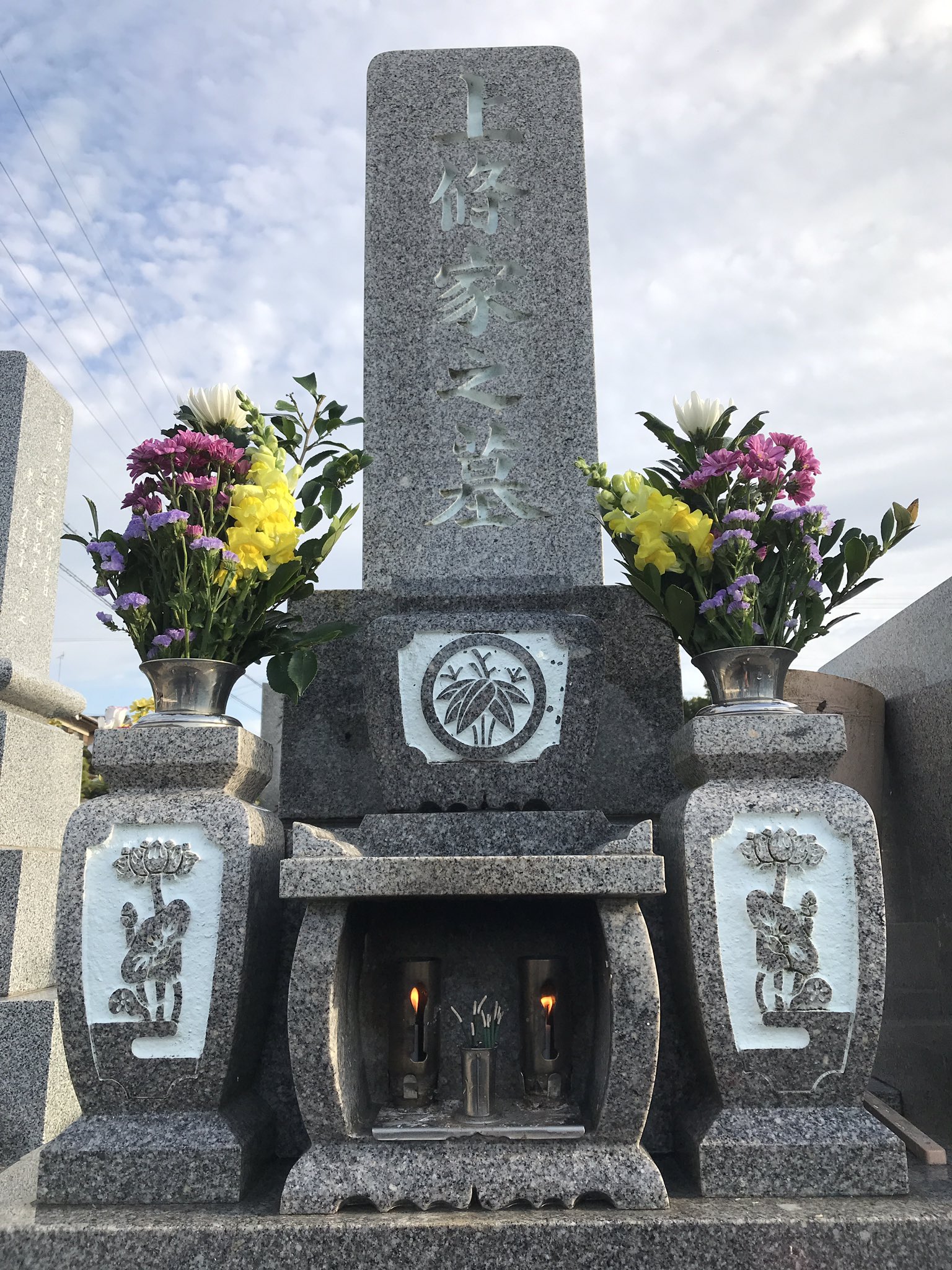 Mecosario Mecosariojapan Twitter