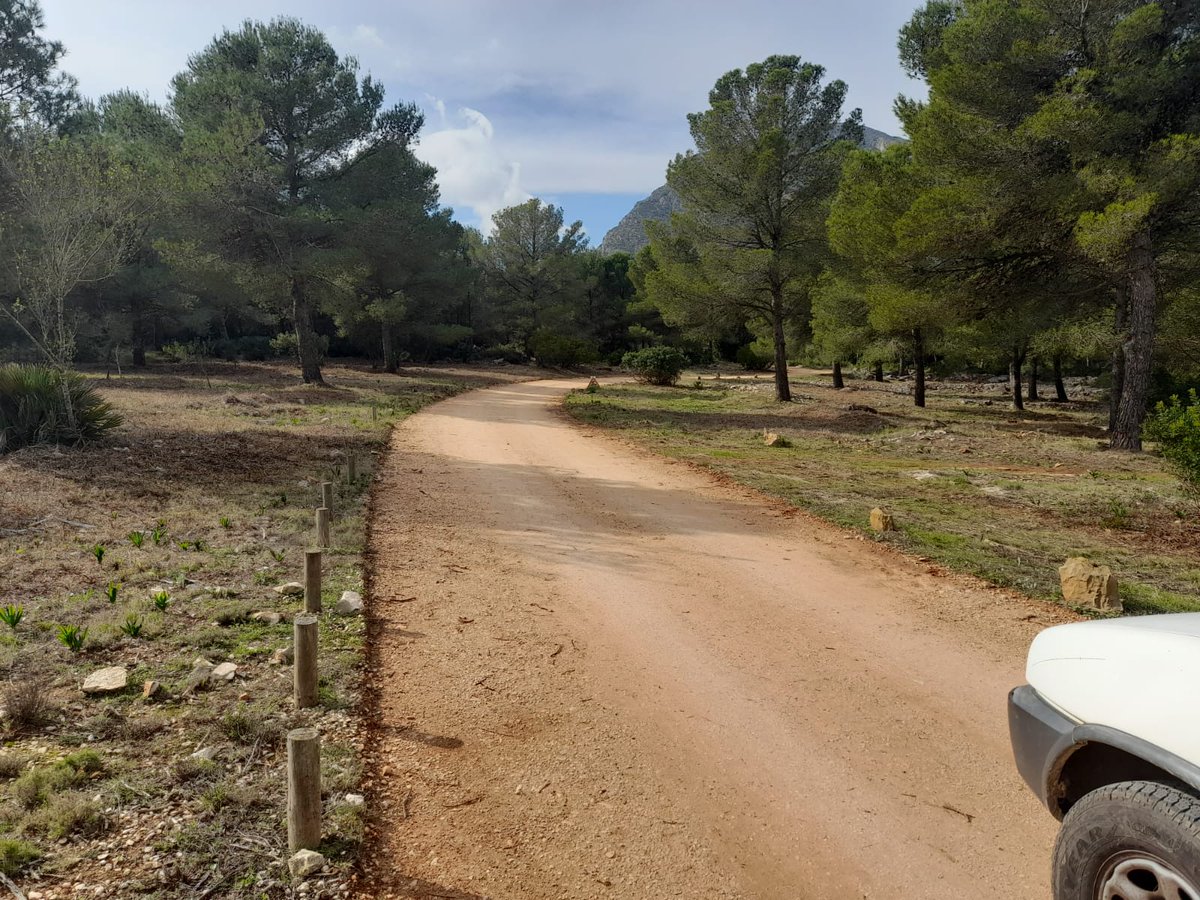 AMGVA's tweet photo. ¿Sabías que Los 👮🏻‍♀️👮🏻‍♂️✅🚔 realizamos seguimientos en los trabajos forestales? https://t.co/7eDeQ7Pino