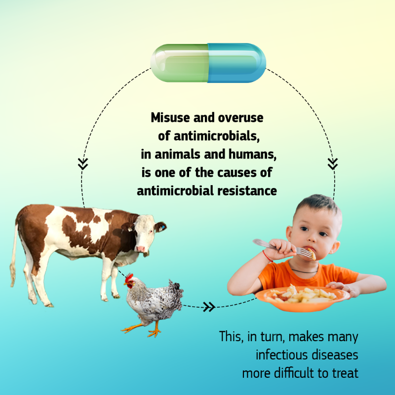 EU_Health's tweet photo. 🗣European Antibiotics Awareness Day #EAAD

We cannot get to the point where #Antibiotics no longer work to treat or prevent infections

Our One Health plan together with #EUPharmaStrategy &amp; #EUFarm2Fork will help counter this heath threat

Learn more with our #EUDataCrunch⬇