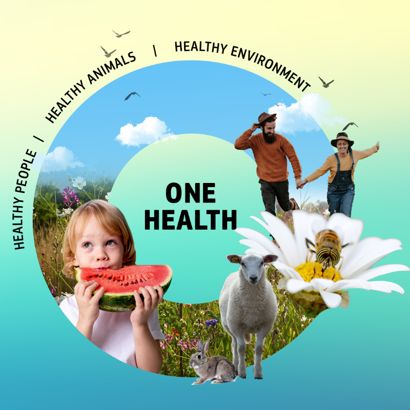 EU_Health's tweet photo. 🗣European Antibiotics Awareness Day #EAAD

We cannot get to the point where #Antibiotics no longer work to treat or prevent infections

Our One Health plan together with #EUPharmaStrategy &amp; #EUFarm2Fork will help counter this heath threat

Learn more with our #EUDataCrunch⬇
