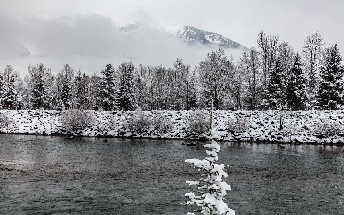 beenjan's tweet photo. #AlbertaCanada
#fallsnow
#landscapephotography
#naturephotography https://t.co/3zSGHBJgU5