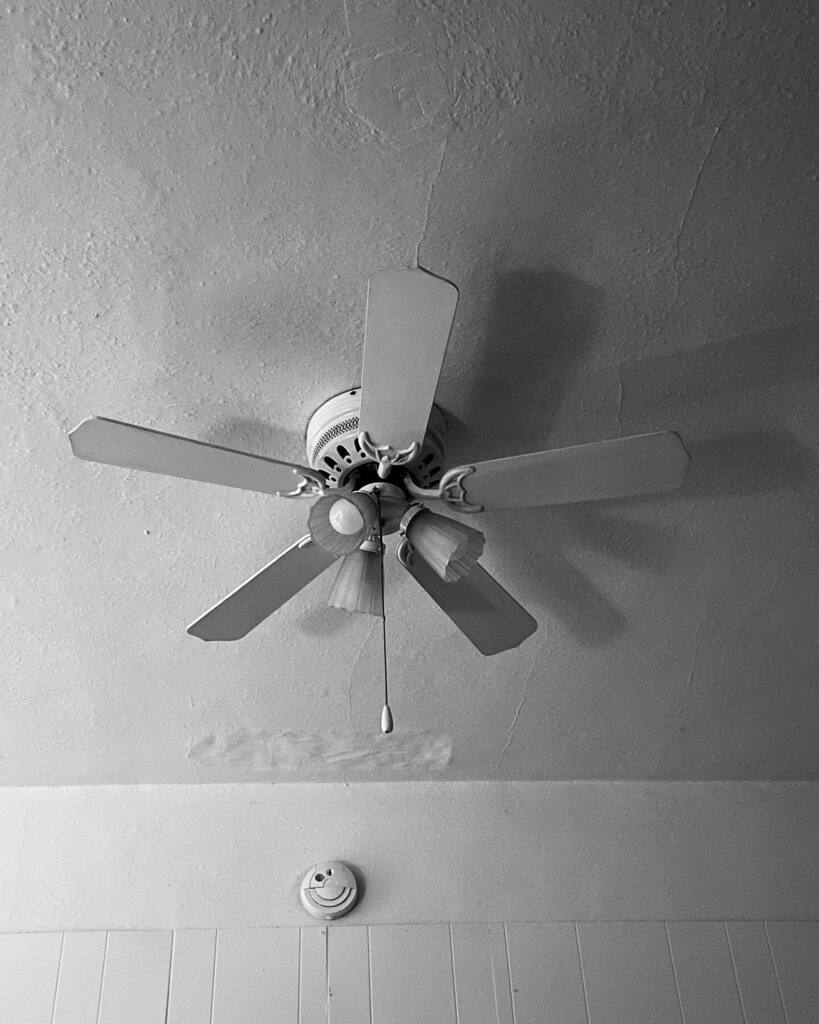 Kwaichi1969's tweet photo. #white #wings https://t.co/kbTo9ovUjT