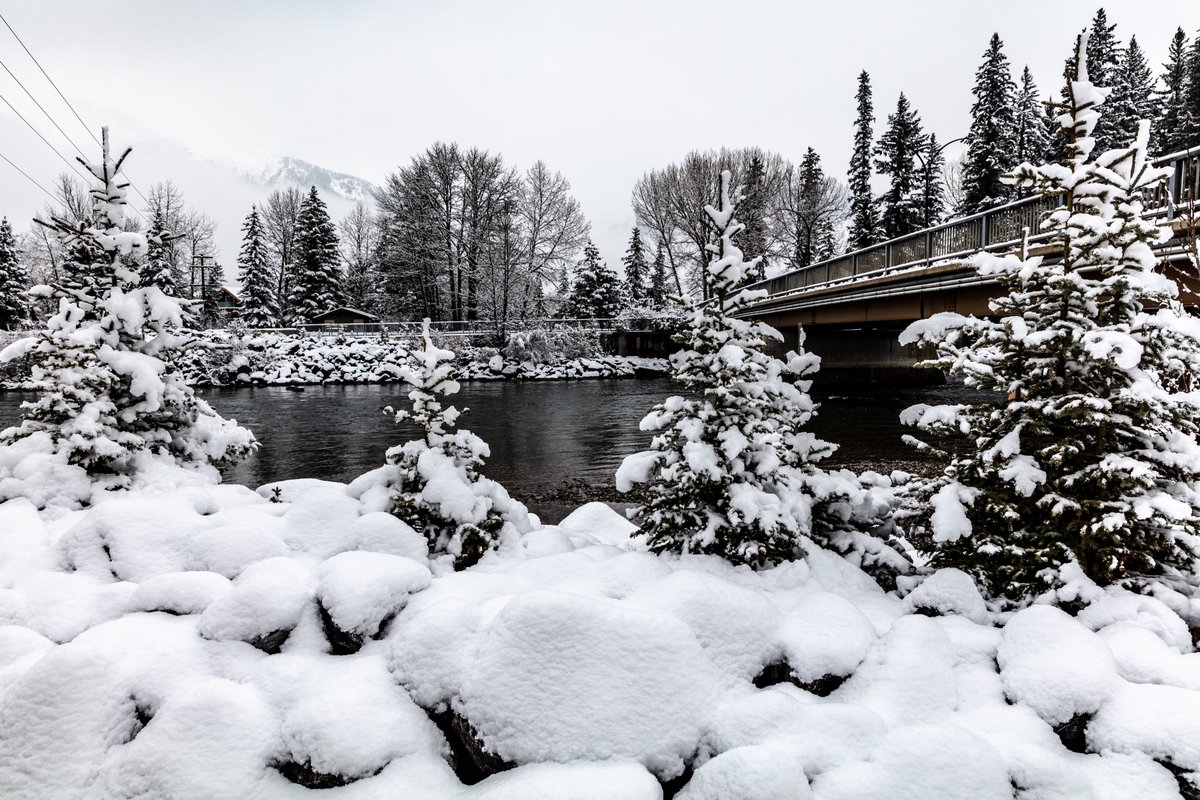 beenjan's tweet photo. #AlbertaCanada
#fallsnow
#landscapephotography
#naturephotography https://t.co/oG9c2WIqlk