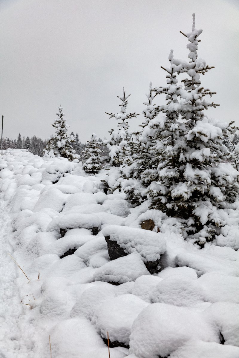 beenjan's tweet photo. #AlbertaCanada
#fallsnow
#landscapephotography
#naturephotography https://t.co/5xCWEofp1S