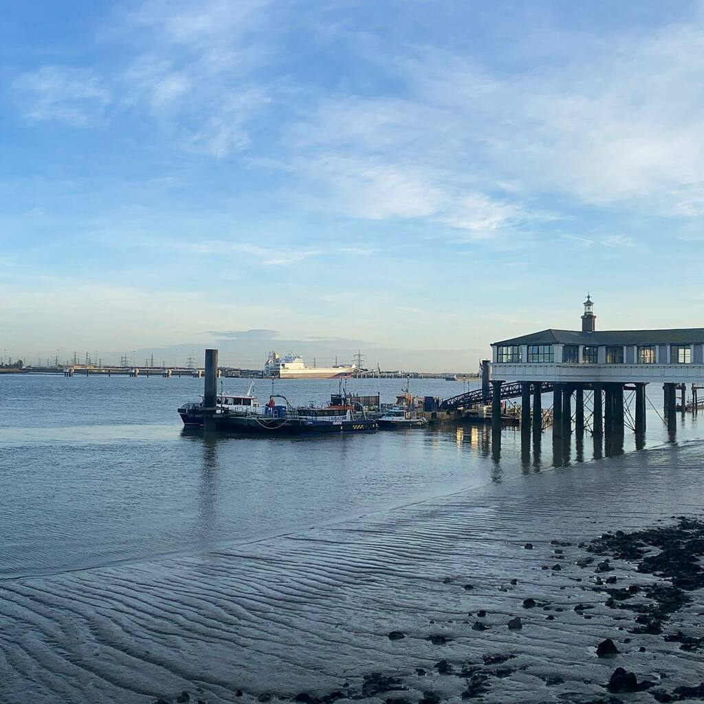 Sea For Yourself tweet media