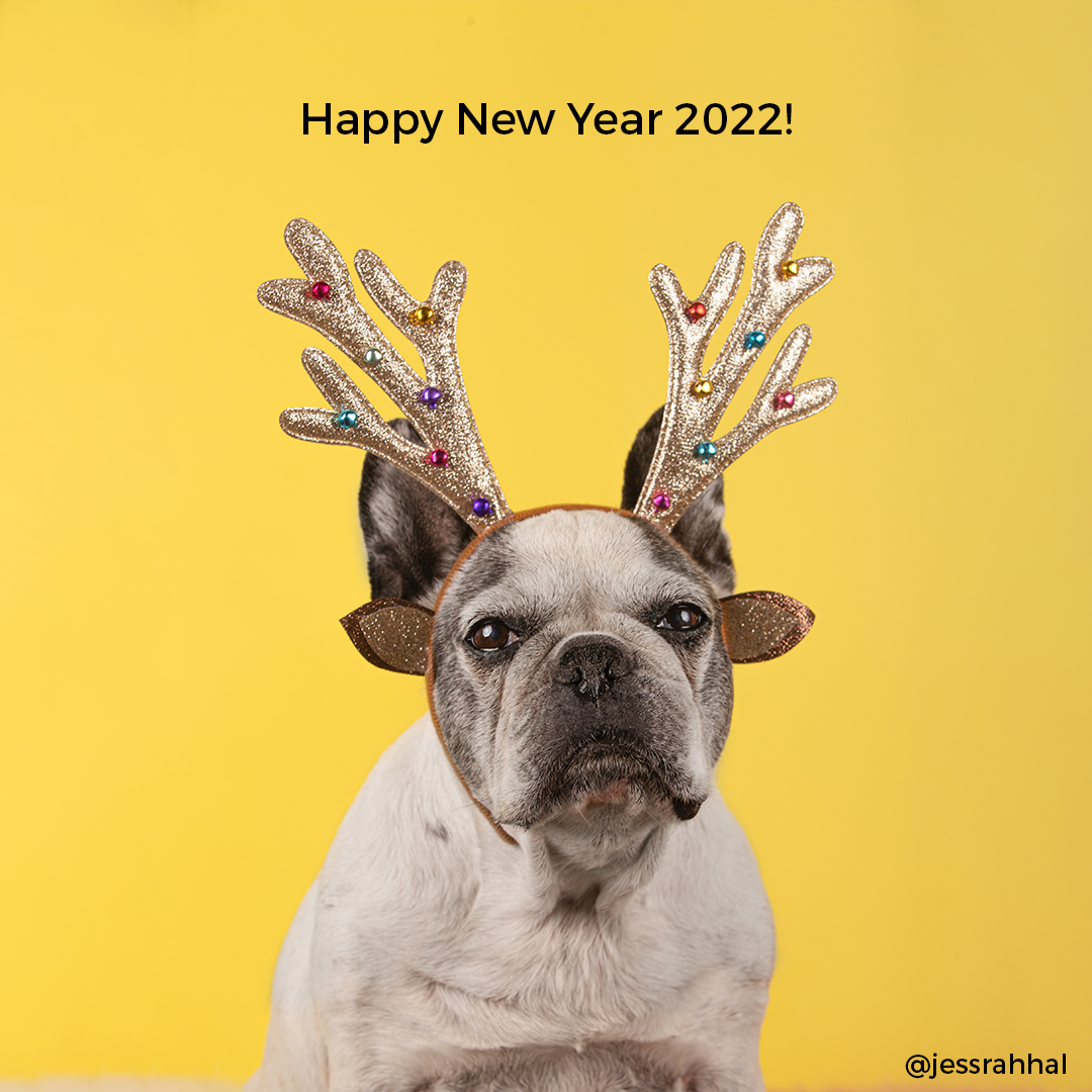teamadslb's tweet photo. “The first step towards getting somewhere is to decide you’re not going to stay where you are.”
Happy New Year to my dearest friends!

#celebrate #malgretout https://t.co/ka42Lzg5We