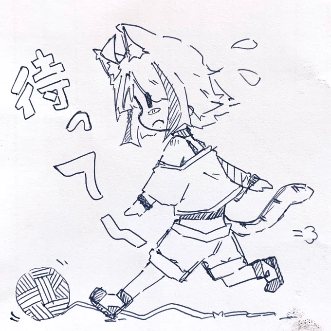 #ネコと和解せよしょこらさん 