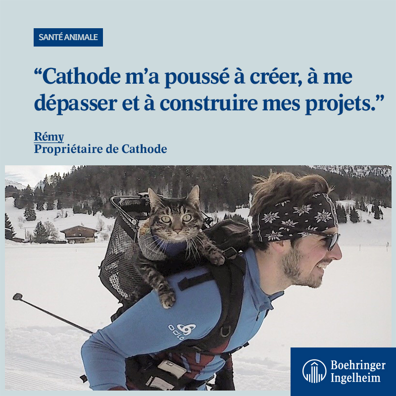 BoehringerFR's tweet photo. Duo Coup de cœur😻 Suivez les aventures sportives de Rémy et son #chat Cathode sur #instagram @mon_copain_ray. Soucieux de #santéanimale, Rémy partage aussi des messages de professionnels de santé comme la campagne #jevaccinemonchat. A suivre ⤵️