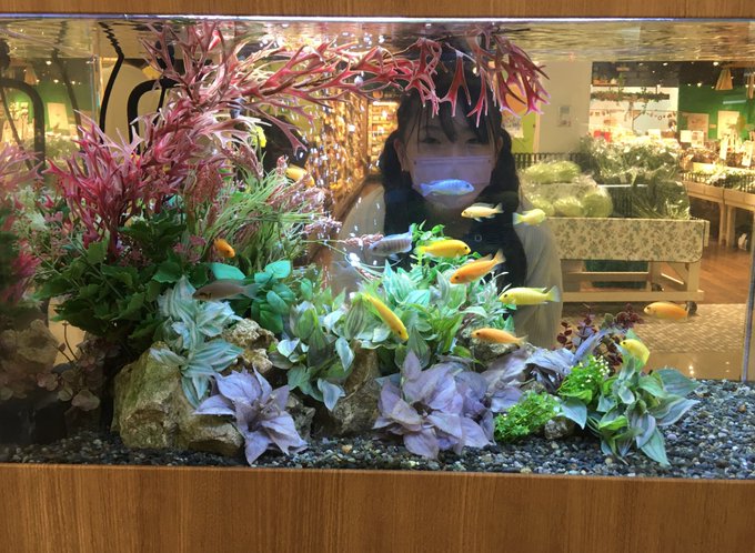 Twitterのコスプレ画像34