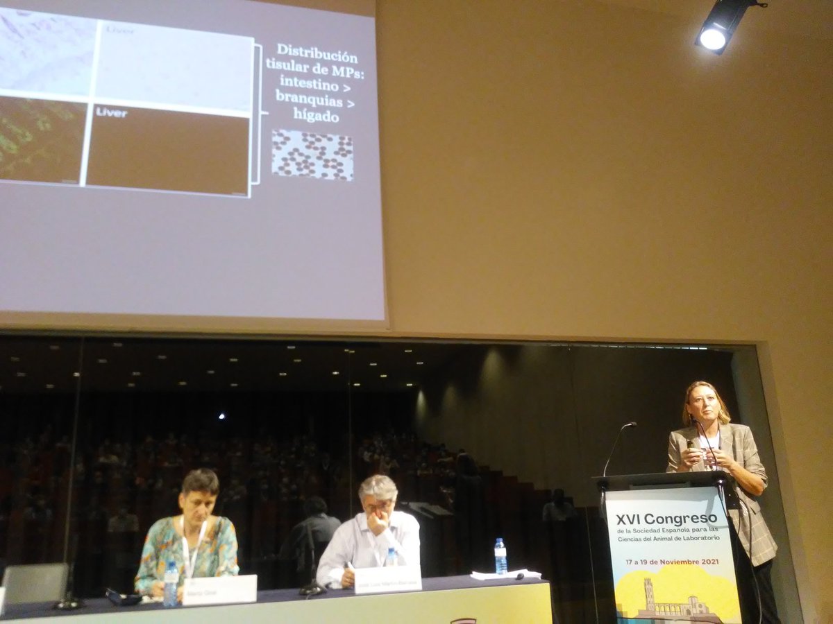 GarciaOlmoDC's tweet photo. @SECAL2021 @SECAL_T Pensaba que, al referirse a peces, esta ponencia iba a tener un interés limitado para mí. Pero la Prof. Caballero, partiendo de sus estudios, ha realizado un análisis crítico del diseño y exposición de resultados valiosísimo para cualquier estudio 👏👏👏 https://t.co/8teFtyVUCT