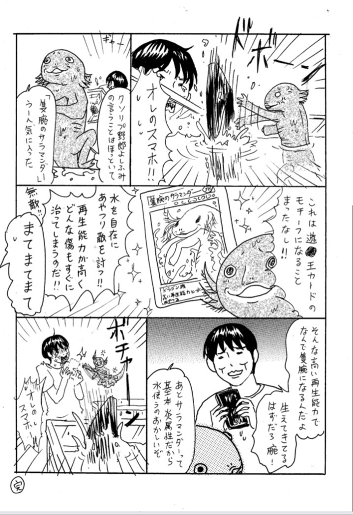 ウーパールーパーの手が取れちゃった 四肢が取れても再生する両生類の生態に 人間もできたらいいのに の声 いま研究が進んでいるips細胞です Togetter ウーパールーパーの手が取れちゃった 四肢が取れても再生する両生類の生態に 人間もできたらいいのに の声 いま研究が進んでいるips細胞です Togetter