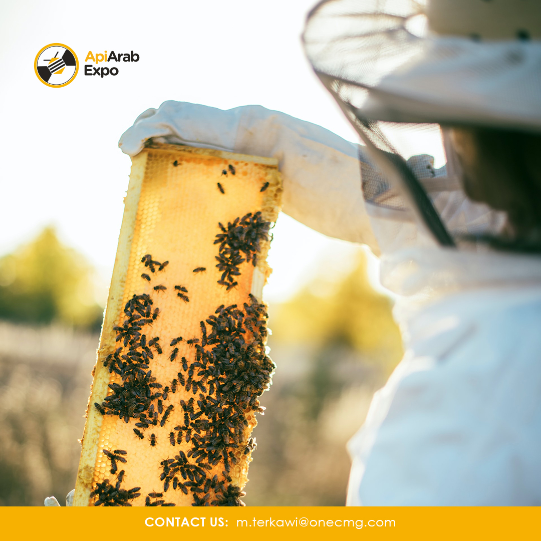ApiArabExpo's tweet photo. When you register for #APIArab you'll be attending alongside over 1000 producers from across the #MiddleEast &amp; #NorthAfrica Region &amp; all will be in #AbuDhabi to engage meaningfully with event #exhibitors &amp; #sponsors. Register today!

#HoneyProducers #Beekeepers #ApiArabExpo #UAE https://t.co/ZwUIA8pEIg