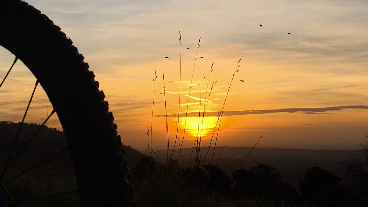 Nathan C tweet media