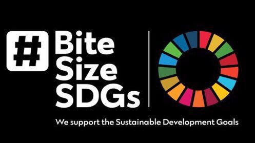 bitesizeSDGs 🌎🌍🌏 tweet media