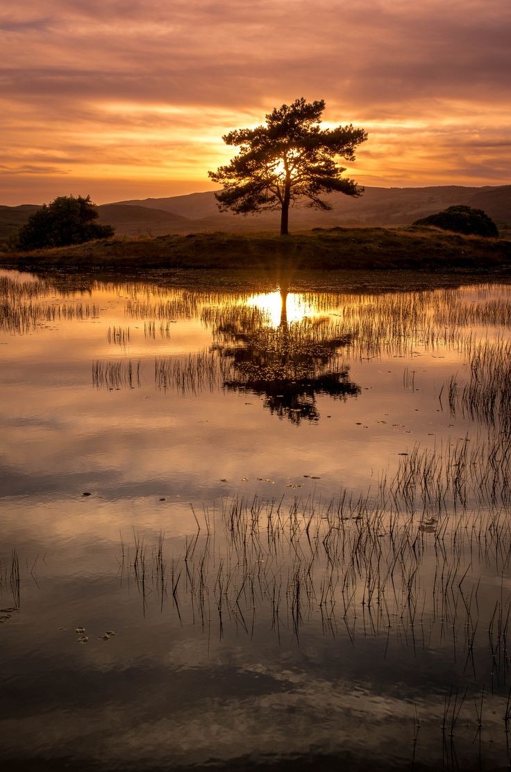 _EvelynSy's tweet photo. Happy Thursday Twitter World 🌍🌿🌻
#Naturephotography https://t.co/znruwYrzQO