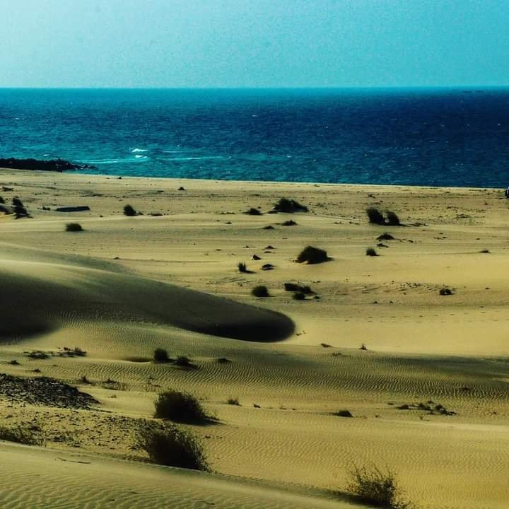 theshiq's tweet photo. Ceel Gerdi Saaxil, Somaliland.
#Somaliland #Saaxil #Berbera https://t.co/6NaFAMN6Gd