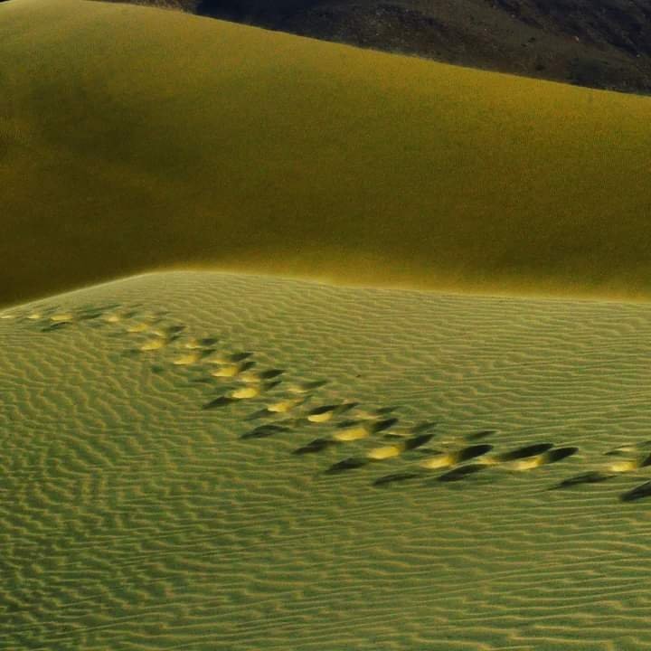 theshiq's tweet photo. Ceel Gerdi Saaxil, Somaliland.
#Somaliland #Saaxil #Berbera https://t.co/6NaFAMN6Gd