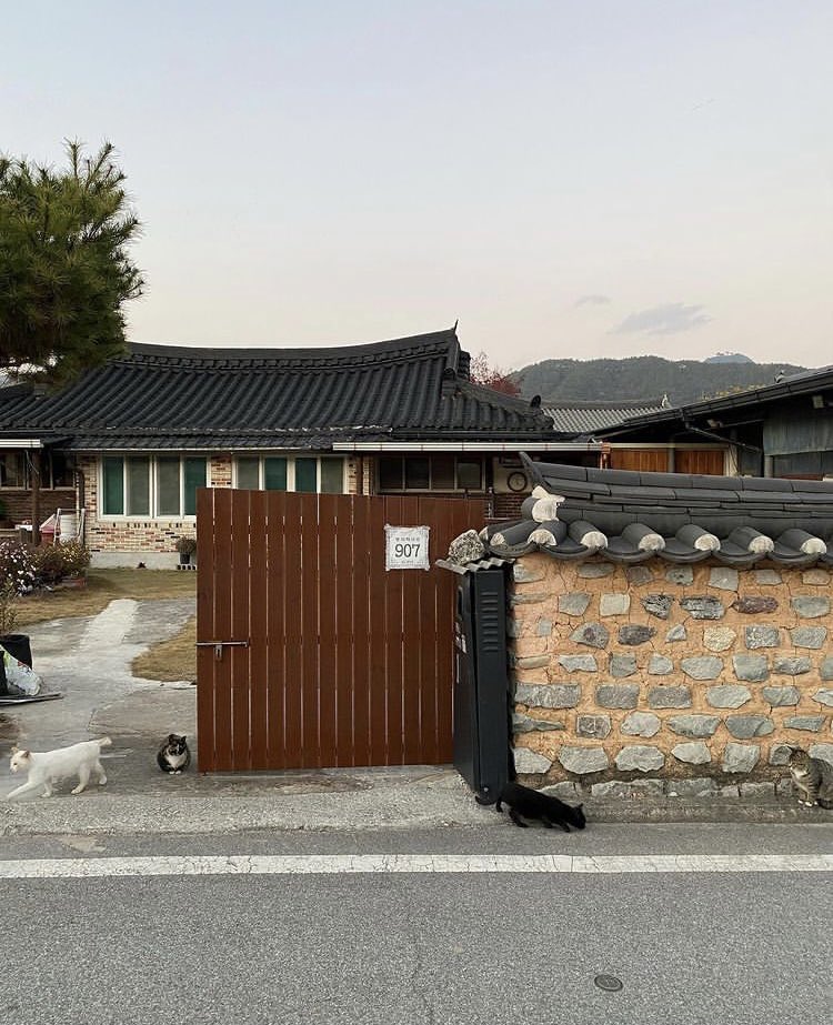 bean930_'s tweet photo. 211118 #윤서아 인스타🐾 https://t.co/MS4GZgKc60