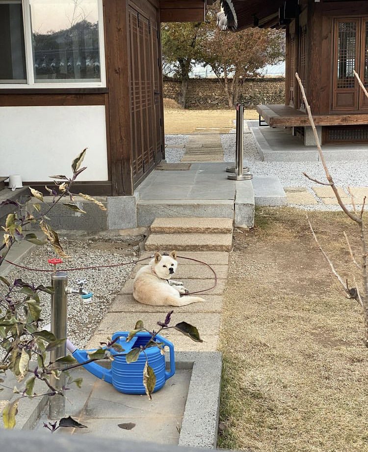 bean930_'s tweet photo. 211118 #윤서아 인스타🐾 https://t.co/MS4GZgKc60