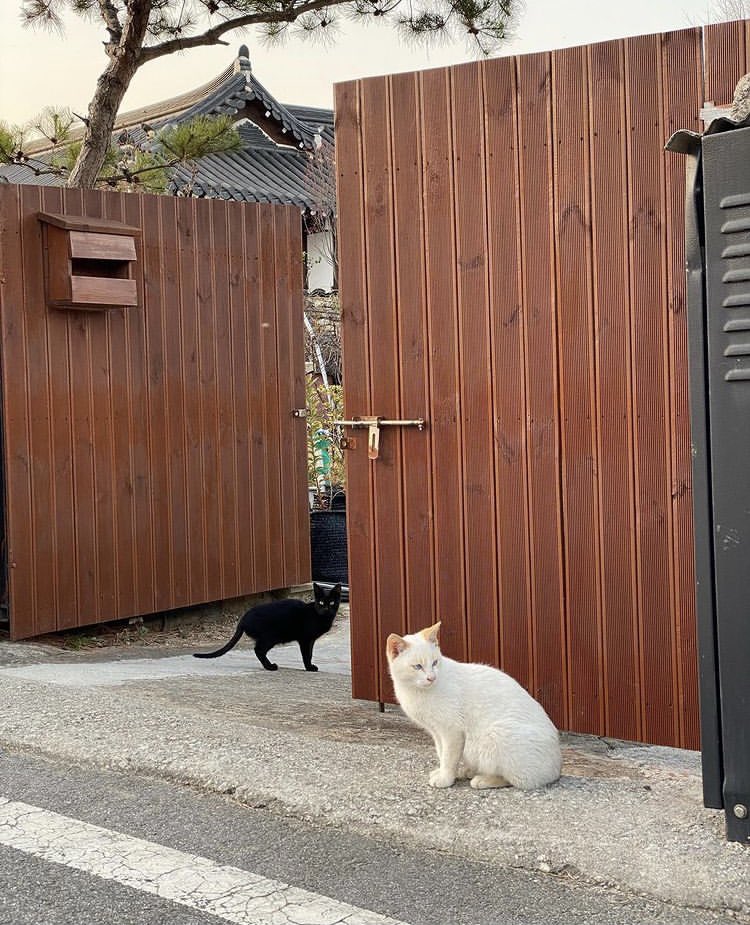bean930_'s tweet photo. 211118 #윤서아 인스타🐾 https://t.co/MS4GZgKc60
