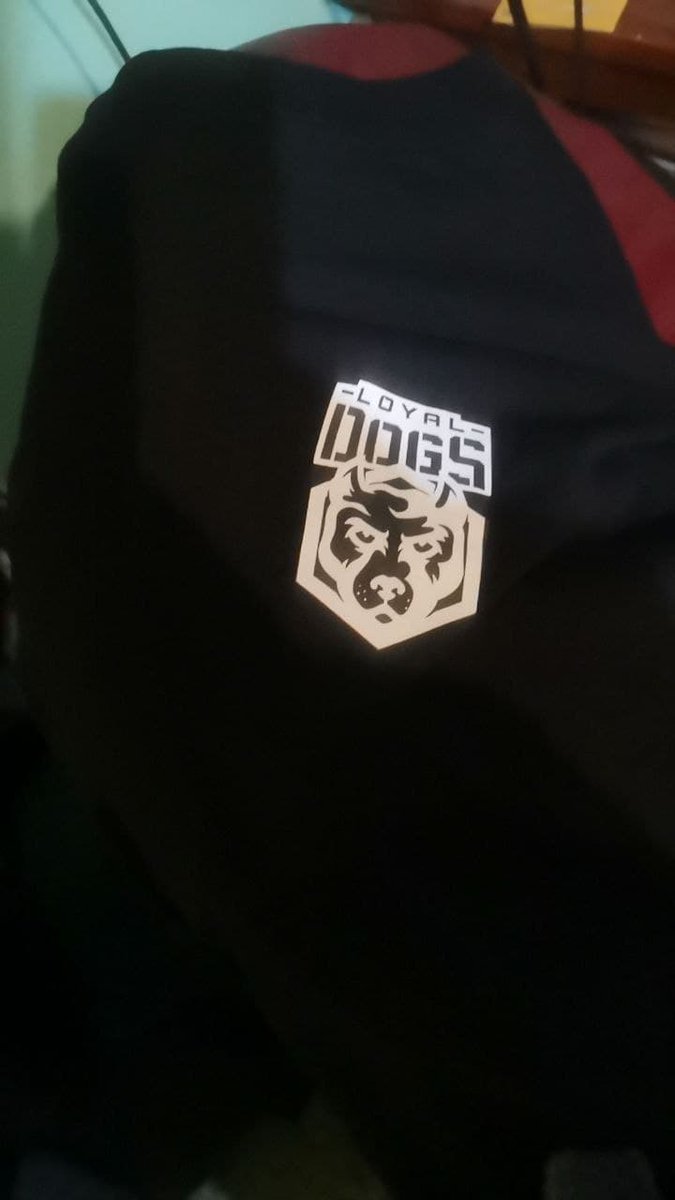 VR Loyal Dogs tweet media