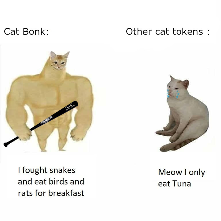 <a href="/BillyM2k/">Shibetoshi Nakamoto</a> #CatBonk $CABO