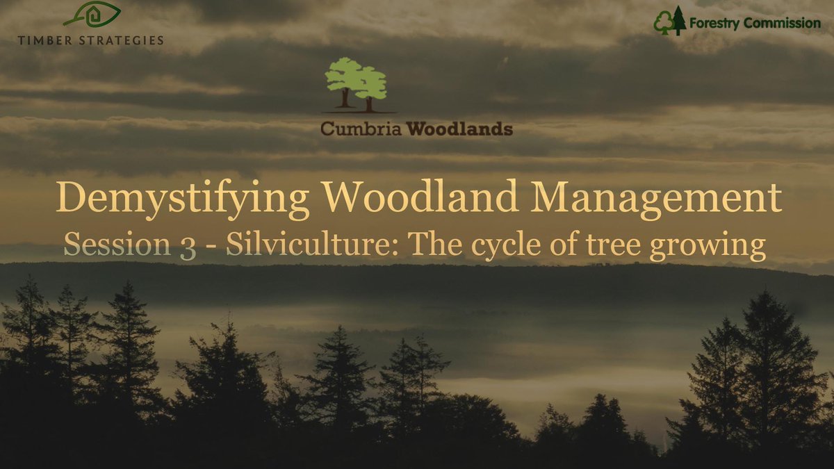 Makes your word of the day SILVICULTURE. Find out what it's all about tonight, 7p.m. live on Youtube (youtu.be/oRdplPHWnK8 ) or on @CumbriaWoodland  Facebook page. See you all later...

#forestry #silviculture #landscape #livestream #woodforthetrees