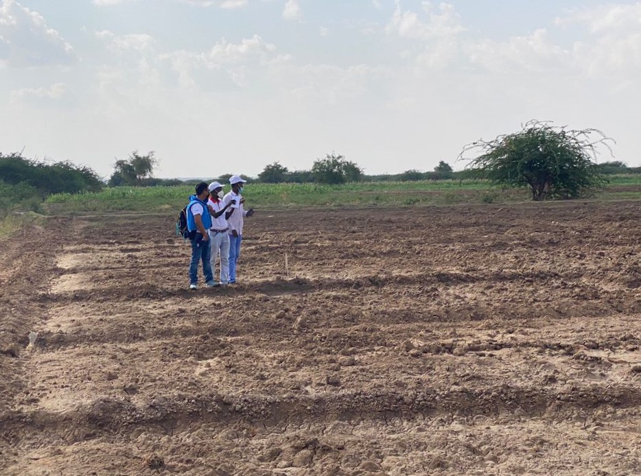 FAOSomalia's tweet photo. FAO &amp; @WFPSomalia, in partnership with state &amp; federal @MoAI_Somalia &amp; @SwedeninSomalia met with farmers in Beletweyne yesterday. 

The community is participating in the 'Supporting Resilient Smallholder Farming Systems in Somalia' project funded by @Sida🇸🇪 for a #resilientfuture https://t.co/kLoyD2zIs6