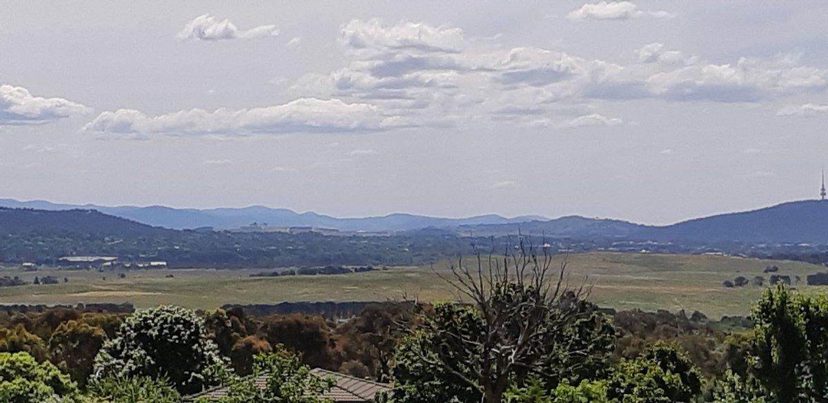 KBCanB's tweet photo. Letterboxing for a friend/candidate running in the #QPRC Election
(on Sat 4 Dec)
#JERRABOMBERRA Heights
- shame about the views....they go on forever https://t.co/CKU6uuMd2N