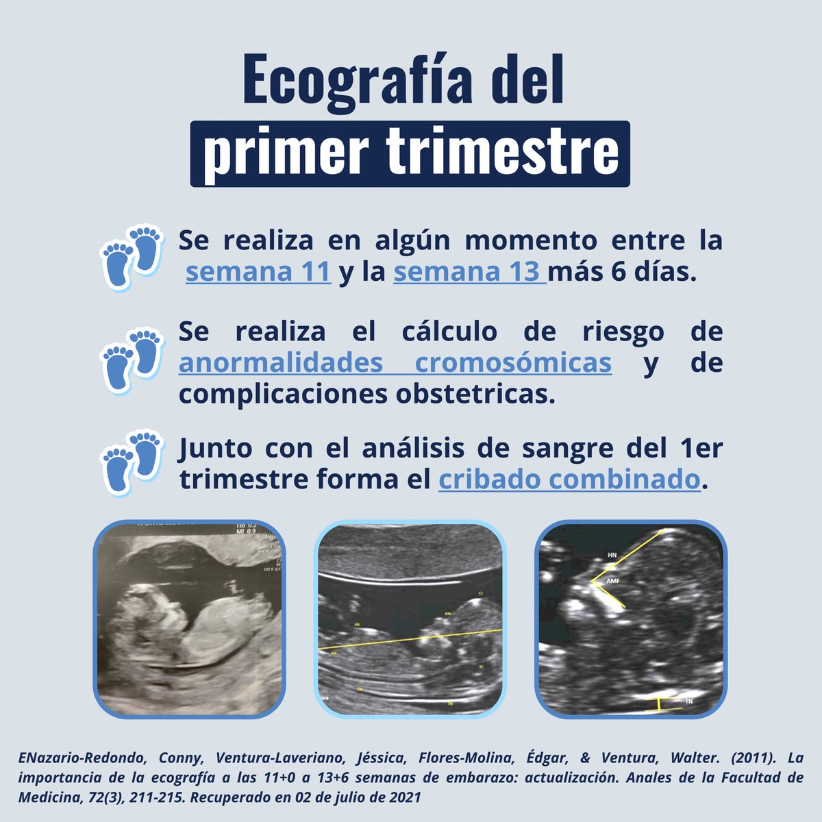 kathypose's tweet photo. Explicación rápida sobre la ecografía y el cribado del primer trimestre de embarazo.
#tusaludsimple #ecografiaprimertrimestre #cribadoprimertrimestre #cribado #embarazo #pregnancy #ultrasound #screening #pregnantlife #bhcg #translucencianucal #edadgestacional #prenatalscreening https://t.co/vCMaNcnZgq