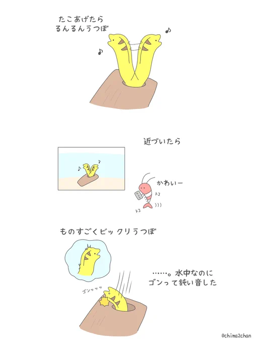 今日のドジなウツボ 