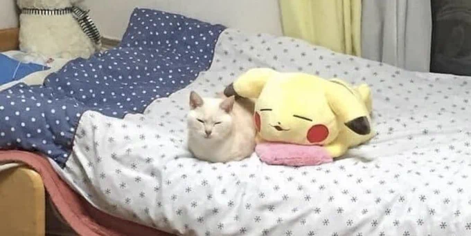 Cat and Pika doodle🐱⚡︎ 