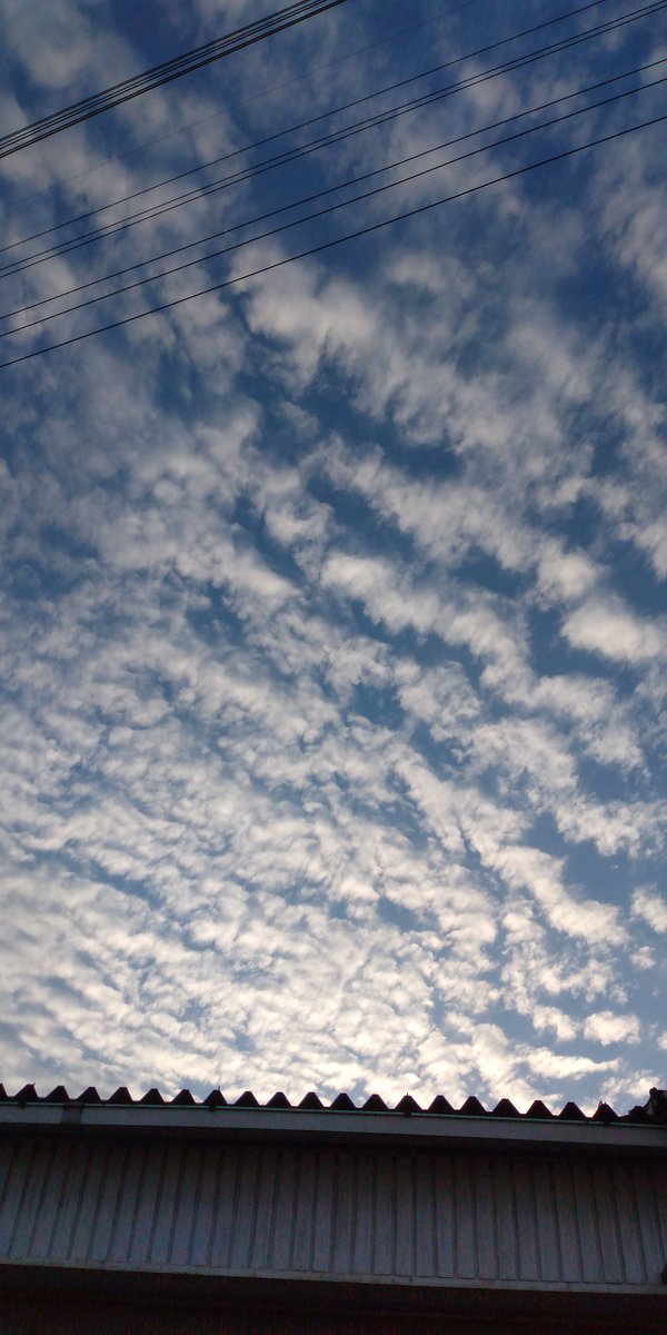 AwagiNobuaki's tweet photo. お疲れ様でしたヽ(=´▽`=)ﾉ
再度インストールしても駄目(¯―¯٥)
色々と試したけどリプ出来ず(¯―¯٥)

心が折れてます（´-`）.｡oO

3時過ぎの雲＼(^o^)／ https://t.co/FUoq5Rd2le