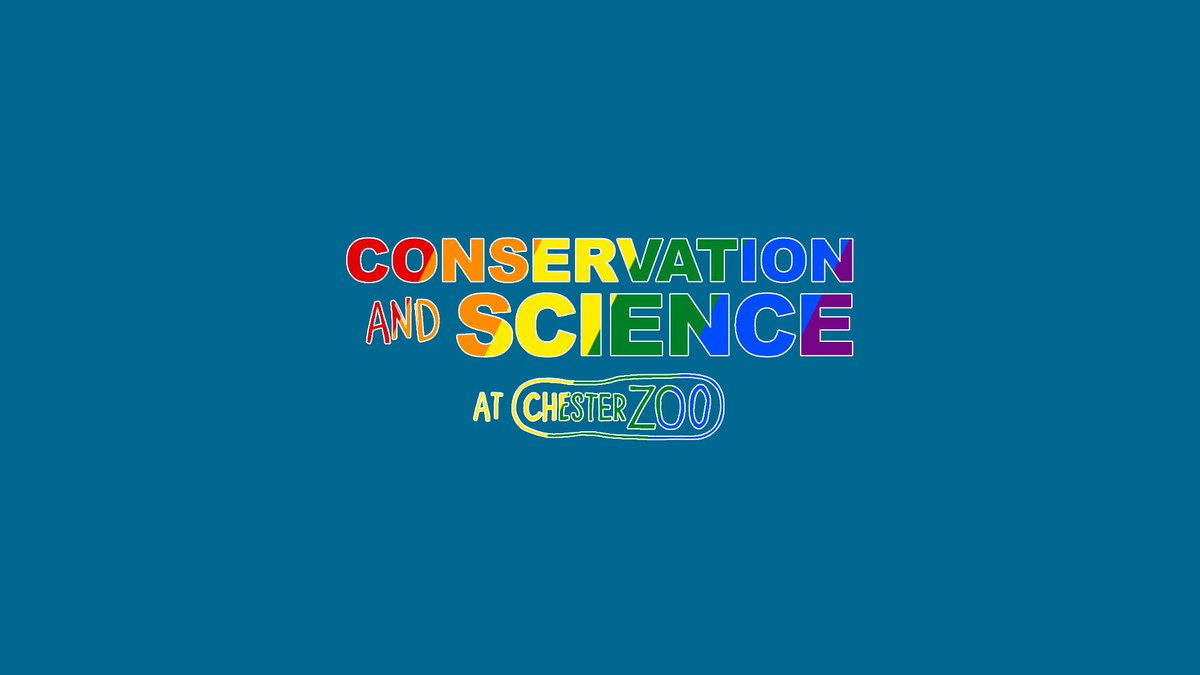 ScienceatCZ's tweet photo. Happy #LGBTQSTEMDay! 🏳️‍🌈

Today, 3 members of our wonderful team are sharing their stories as members of the LGBTQ+ community in the scientific world, across 3 different decades.

Preventing extinction must include a diverse range of voices to succeed 🌱

👉https://t.co/EHTrzpFAFY https://t.co/fpSu50CL1G
