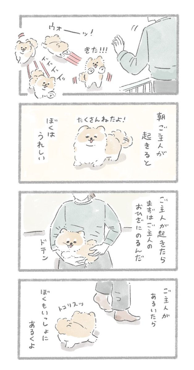 たくさん寝たからたくさん一緒にいてほしい
#こんにちはいぬです 