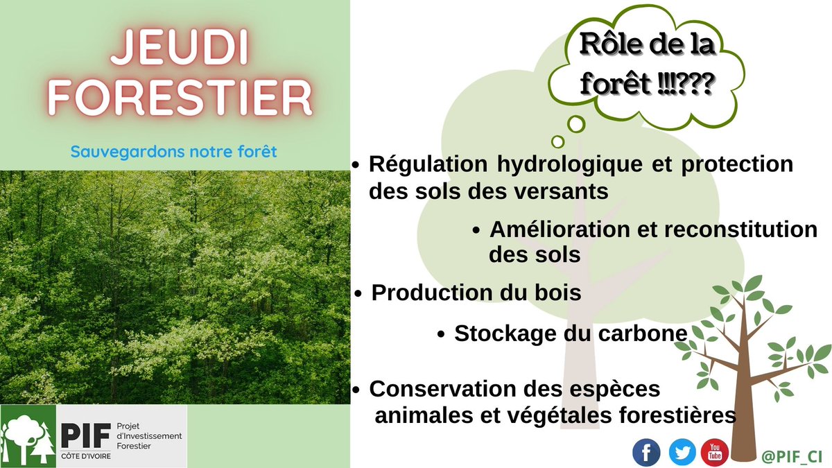 PIF_CI's tweet image. 💡
#Jeudi_Forestier
#SODEFOR
#MINEED
#COP26Glasgow