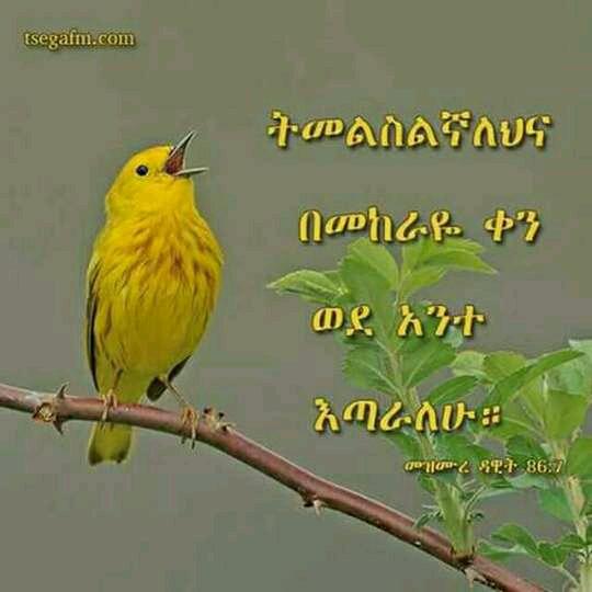 MekdesTeshome19's tweet photo. #NewProfilePic https://t.co/IyKuDN5dWW