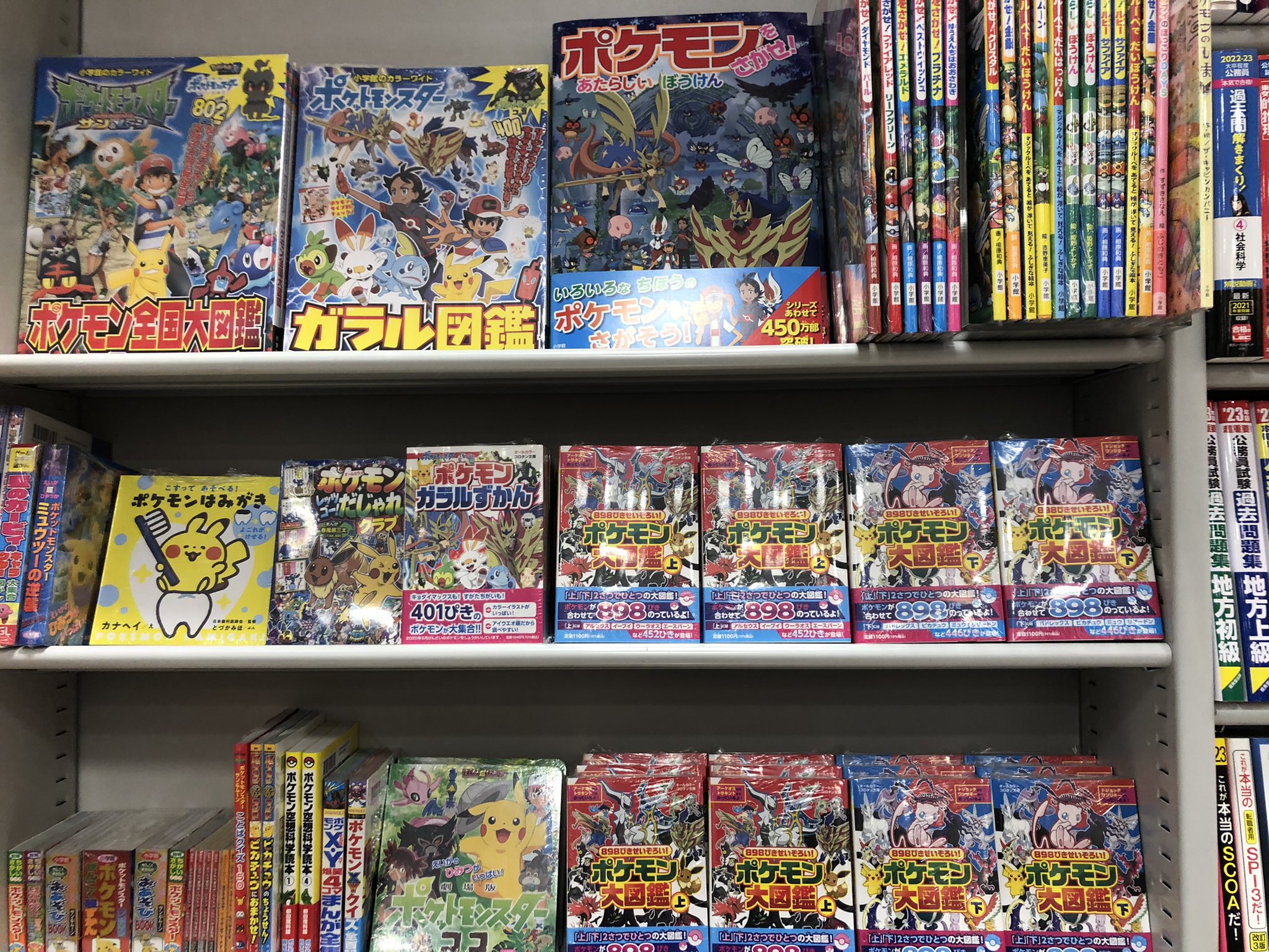 サクラ書店高村店 湘南乃本屋 Al Twitter ポケモン大集合 サクラ書店高村店 コロタン文庫 ポケモン大図鑑 上 下巻 ポケモンが8匹せいぞろい 上下2冊でひとつの大図鑑 アイウエオ順で調べやすい 小学館 コロタン文庫 ポケモン大図鑑 サクラ書店高村店 湘南乃本屋 Al Twitter ポケモン大集合 サクラ書店高村店 コロタン文庫 ポケモン大図鑑 上 下巻 ポケモンが8匹せいぞろい 上下2冊でひとつの大図鑑 アイウエオ順で調べやすい 小学館 コロタン文庫 ポケモン大図鑑