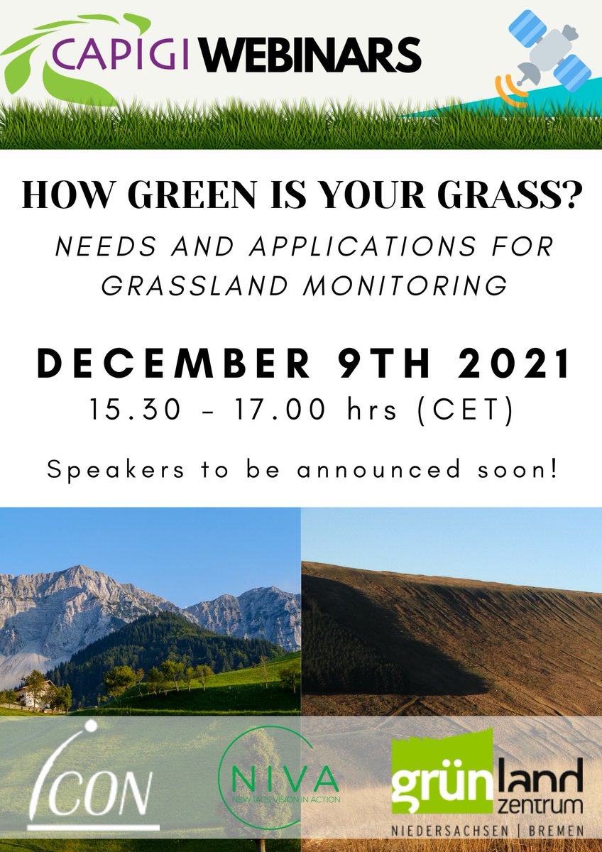 Icon Geo tweet media