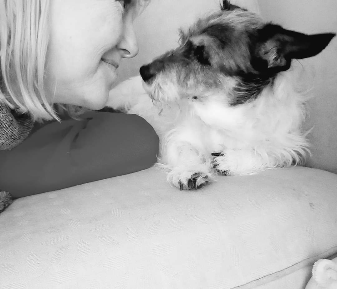 beautys_legacy's tweet photo. At 915pm, Sat 23/11 my neighbours let of fireworks giving my girl Cobweb a seizure, &amp; heart failure.Yesterday she took her  last breath at home surrounded by love...4 days after the fireworks and 4 days before her 18th birthday.I am completely broken. R.i.p. Cobweb #banfireworks https://t.co/0zaZ3gwHAL