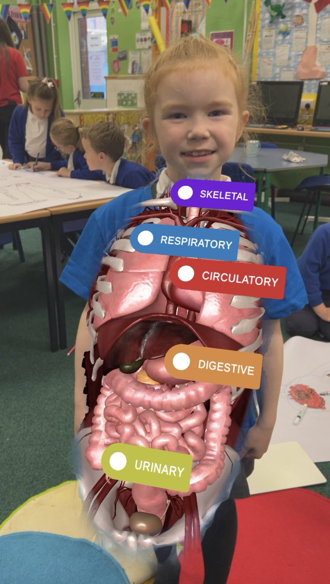 tonpentrejunior's tweet photo. The major body systems 🧠🦵🏻🫁🫀🩸
We have had a fun afternoon looking inside our bodies! #virtualitee https://t.co/vUMhOxkKGg