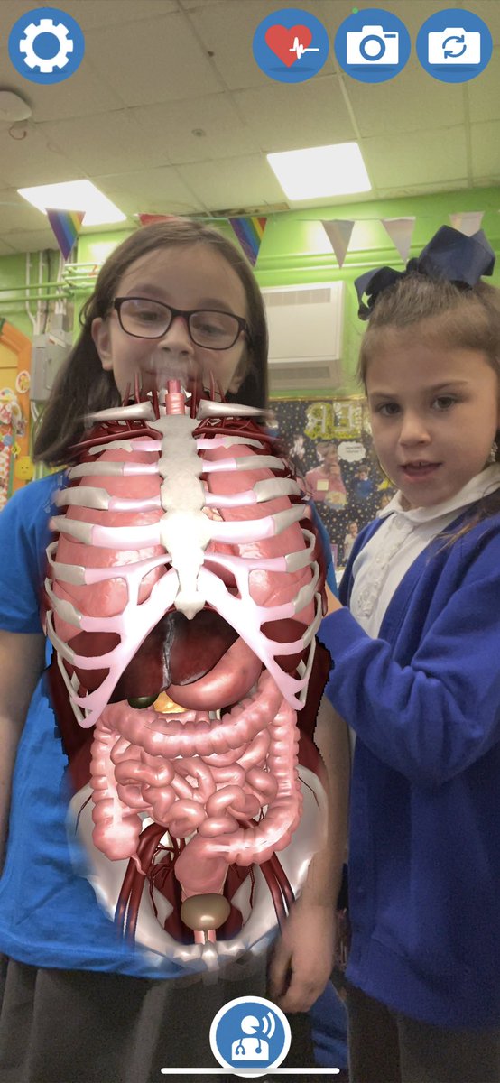tonpentrejunior's tweet photo. The major body systems 🧠🦵🏻🫁🫀🩸
We have had a fun afternoon looking inside our bodies! #virtualitee https://t.co/vUMhOxkKGg