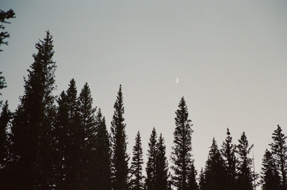 JustinHardigree's tweet photo. Hello Moon 🌛
#portra800 
#canoneos3 https://t.co/OhtRg5RbmJ