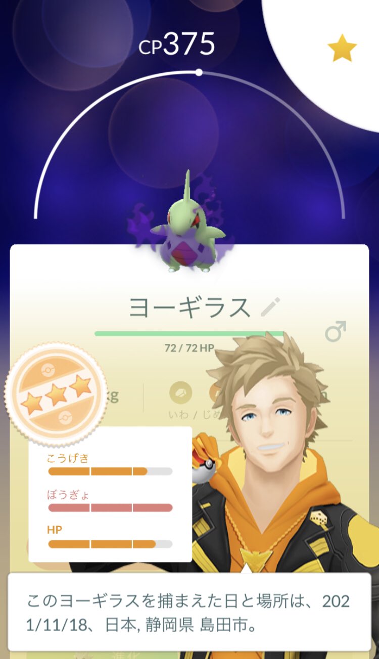 ﾖｰｷﾞﾗｽ Twitter Bilaketa Twitter