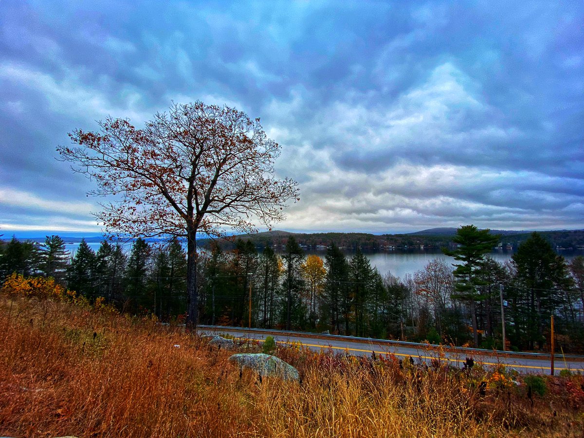 Some people focus on the gray, all I’m seeing is GOLD! Have a great day! 🌟❤️🦥❤️🌟